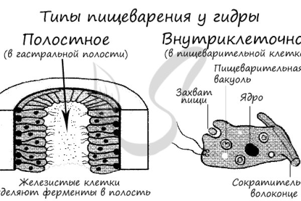 Кракен даркнет купить