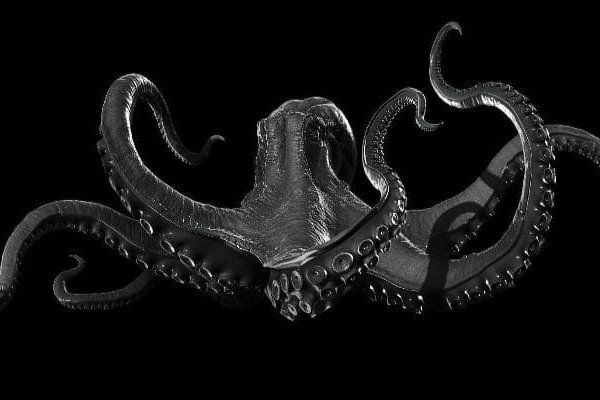 Kraken at зеркало